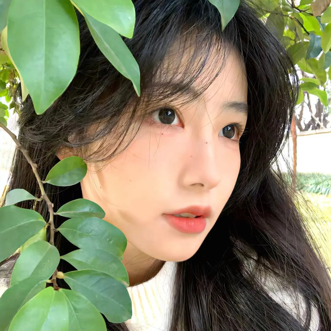 奇妙王国之魔法奇缘